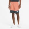 Image Puma Power Summer Colourblock Shorts Men #1
