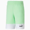 Изображение Puma Шорты Power Summer Colourblock Shorts Men #4: Paradise Green