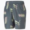 Image Puma Power Summer Printed Men's Shorts #4