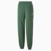 Зображення Puma Штани Classics Sweatpants Women #6: Deep Forest