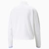 Görüntü Puma EVOSTRIPE Yarım Fermuarlı Bisiklet Yaka Kadın Sweatshirt #7