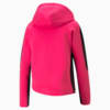 Image Puma EVOSTRIPE Full-Zip Hoodie Women #7