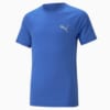 Изображение Puma Детская футболка Evostripe Tee Youth #1: Royal Sapphire