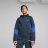 Image Puma Recycled Content: Evostripe Full-Zip Hoodie Youth #1