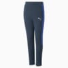Image Puma Evostripe Pants Youth #6
