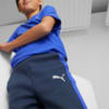 Image Puma Evostripe Pants Youth #3