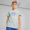 Image PUMA Camiseta Active Sports Graphic Juvenil #4