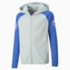 Изображение Puma Детская толстовка Active Sports Full-Zip Hoodie Youth #5: Platinum Gray