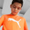 Image Puma Active Sports Cat Tee Youth #2