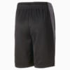 Image Puma Active Sports Shorts Youth #6
