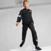Зображення Puma Дитяча толстовка PUMA Power Full-Zip Hoodie Youth #3: Puma Black