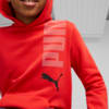 Image Puma Essentials+ Logolab Hoodie Youth #3