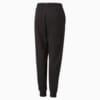 Изображение Puma Детские штаны Essentials+ LOGOLAB Sweatpants Youth #6: Puma Black