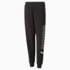 Зображення Puma Дитячі штани Essentials+ LOGOLAB Sweatpants Youth #5: Puma Black