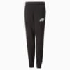 Image Puma Essentials+ Street Art Sweatpants Youth #6