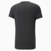 Image PUMA Camiseta EVOSTRIPE Masculina #7