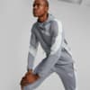 Image Puma EVOSTRIPE Hoodie Men #1