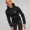 Изображение Puma Толстовка EVOSTRIPE Full-Zip Hoodie Men #1: Puma Black