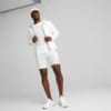 Görüntü Puma EVOSTRIPE Tam Fermuar Kapüşonlu Sweatshirt Erkek #2