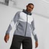 Зображення Puma Толстовка EVOSTRIPE Full-Zip Hoodie Men #1: Gray Tile