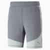 Image Puma EVOSTRIPE Shorts Men #6