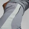 Image Puma EVOSTRIPE Shorts Men #3