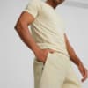 Изображение Puma Шорты EVOSTRIPE Shorts Men #3: Granola
