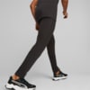 Изображение Puma Штаны EVOSTRIPE Pants Men #5: Puma Black