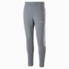 Image Puma EVOSTRIPE Pants Men #6