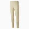 Image Puma EVOSTRIPE Pants Men #6