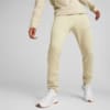 Image Puma EVOSTRIPE Pants Men #1