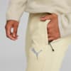 Image Puma EVOSTRIPE Pants Men #4