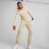Image Puma EVOSTRIPE Pants Men #5