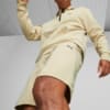 Изображение Puma Шорты RAD/CAL Shorts Men #3: Granola