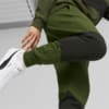 Изображение Puma Штаны PUMA POWER Cat Sweatpants Men #3: Myrtle