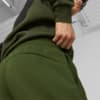 Изображение Puma Штаны PUMA POWER Cat Sweatpants Men #4: Myrtle