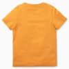 Зображення Puma Дитяча футболка Essentials+ PUMA Mates Tee Kids #6: Desert Clay