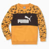 Image Puma Essentials+ PUMA Mates Crew Neck Kids #5