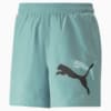 Image PUMA Shorts Essentials+ Logo Power Woven Masculino #6