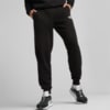 Зображення Puma Штани ESS ELEVATED Sweatpants Men #1: Puma Black