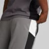 Image PUMA Shorts DYNA-MIX Terry Masculino #3
