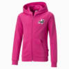 Image Puma Essentials+ Street Art Full-Zip Hoodie Youth #6