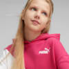 Зображення Puma Дитяча толстовка PUMA Power Cat Hoodie Youth #5: Orchid Shadow