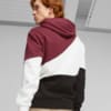 Imagen PUMA Polerón con capucha para hombre PUMA POWER Cat #2
