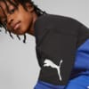 Зображення Puma Дитяча толстовка PUMA Power Crew Sweatshirt Youth #2: Royal Sapphire