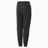 Изображение Puma Детские штаны PUMA Sweatpants Youth #2: Puma Black