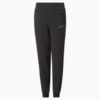 Изображение Puma Детские штаны PUMA Sweatpants Youth #1: Puma Black