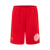 Görüntü Puma Türkiye Basketbol Milli Takım Fanwear Şort #1
