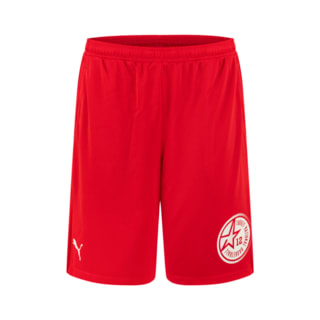 Görüntü Puma Türkiye Basketbol Milli Takım Fanwear Şort