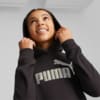 Зображення Puma Дитяча толстовка Essentials+ NOVA SHINE Logo Hoodie Youth #2: Puma Black